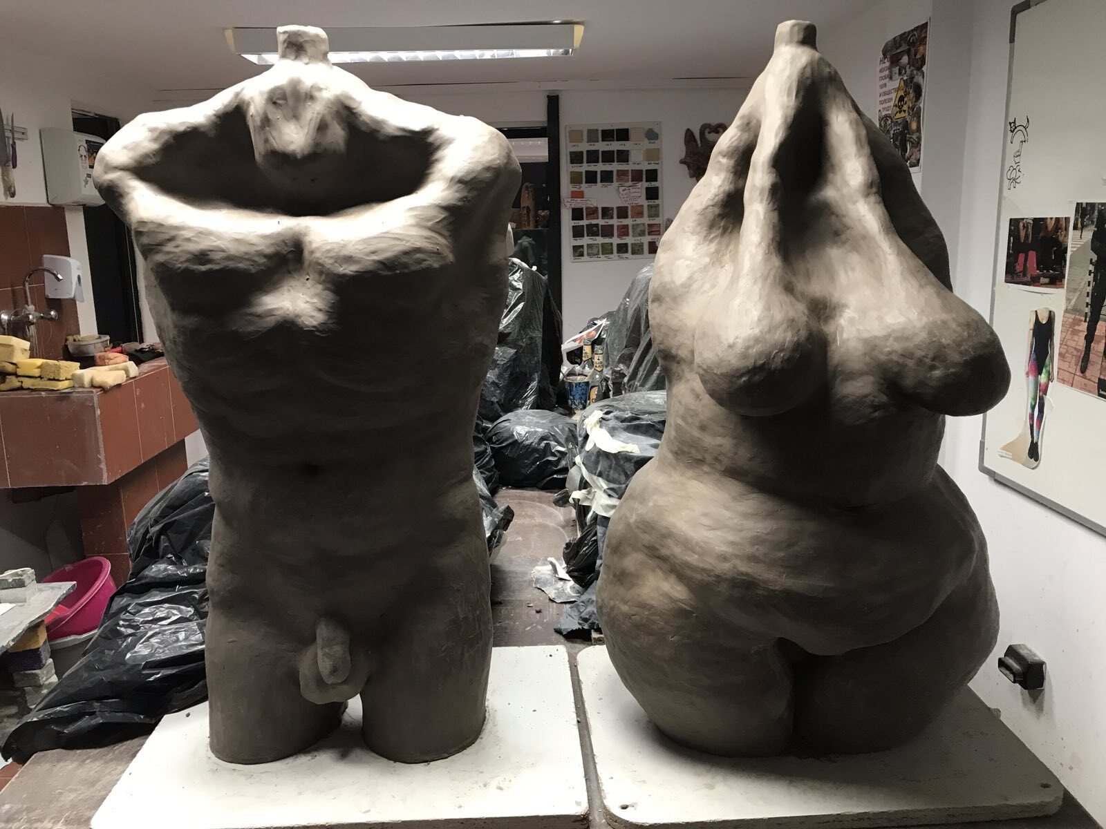 Bodies